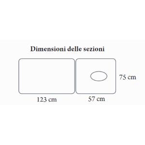LETTINO A 2 SEZIONI (BIANCO - LARGHEZZA 75 cm) DA VISITA MEDICA E FISIOTERAPIA IN TUBOLARE RETTANGOLARE CON GAMBE IN TUBOLARE OVALE E FORO PER IL VISO - MODELLO RYGEL - SCHIENALE REGOLABILE - IN ACCIAO VERNICIATO - 