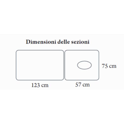 LETTINO A 2 SEZIONI (BIANCO - LARGHEZZA 75 cm) DA VISITA MEDICA E FISIOTERAPIA IN TUBOLARE RETTANGOLARE CON GAMBE IN TUBOLARE OVALE E FORO PER IL VISO - MODELLO RYGEL - SCHIENALE REGOLABILE - IN ACCIAO VERNICIATO - 