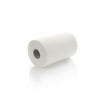 RULLO MINI - ASCIUGAMANI DI CARTA A ROTOLO 2 VELI PER DISTRIBUTORE MINI ROLL-BOX